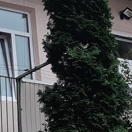 Transfer Apartment Lviv Exterior foto